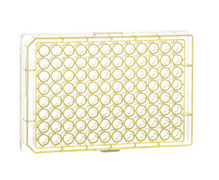 Greiner Bio-One - MICROPLATTE, 96 WELL, PP, U-BODEN, GELB - 650206