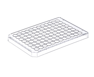 Greiner Bio-One - ABDECKPLATTE MIT KONDENSATIONSRINGEN, PS - 656176