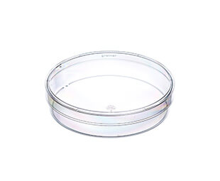 Greiner Bio-One - PETRISCHALE, 100/20 MM, PS, TRANSP., MIT NOCKEN - 664102