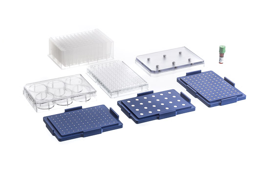 Greiner Bio-One - 96 WELL BIO ASSAY KIT, TRANSPARENT - 655846