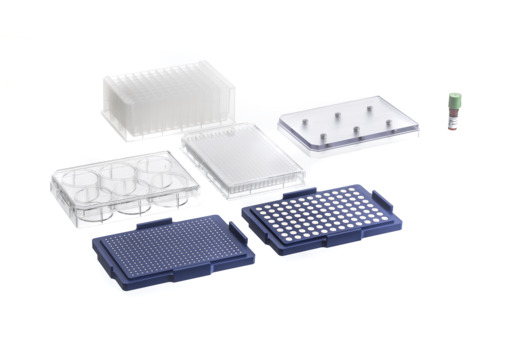 Greiner Bio-One - 384 WELL BIO ASSAY KIT, TRANSPARENT - 781846