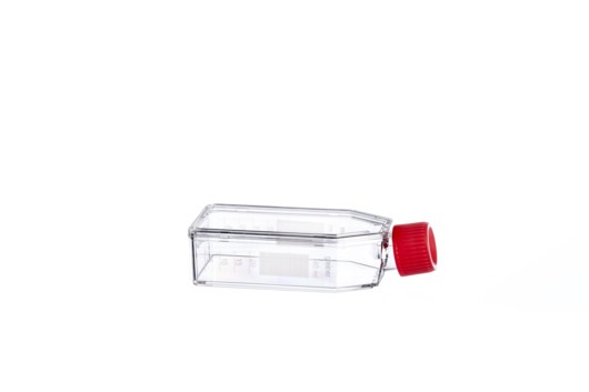 Greiner Bio-One - CELL CULTURE FLASK, 50 ML, 25 CM², PS - 690940