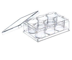 Greiner Bio-One - THINCERT PLATE, 6 WELL, PS, LID, STERILE - 657110