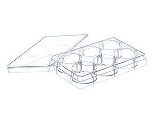 Greiner Bio-One - CELL CULTURE MULTIWELL PLATE, 6 WELL, PS, CLEAR - 657165