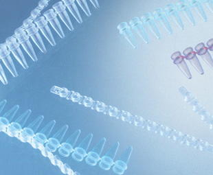 Greiner Bio-One - 12 Cap strips for PCR strip tubes - 374276