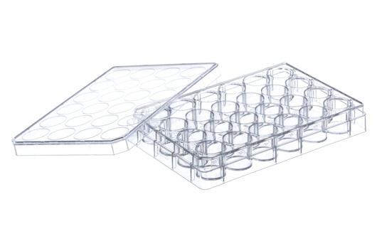 Greiner Bio-One - CELL CULTURE MULTIWELL PLATE, 24 WELL, PS - 662930