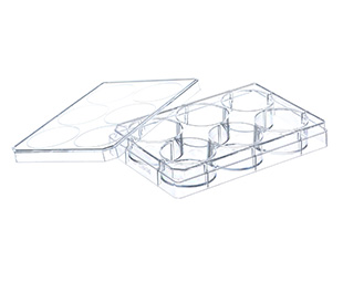 Greiner Bio-One - CELL CULTURE MULTIWELL PLATE, 6 WELL, PS, CLEAR - 657970
