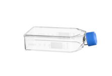 Greiner Bio-One - CELL CULTURE FLASK, 250 ML, 75 CM², PS - 658970