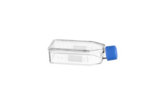 Greiner Bio-One - CELL CULTURE FLASK, 50 ML, 25 CM², PS - 690975