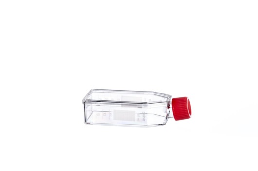 Greiner Bio-One - CELL CULTURE FLASK, 50 ML, 25 CM², PS - 690950