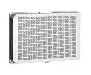 Greiner Bio-One - CELL CULTURE MICROPLATE, 384 WELL, PS, F-BOTTOM - 781983