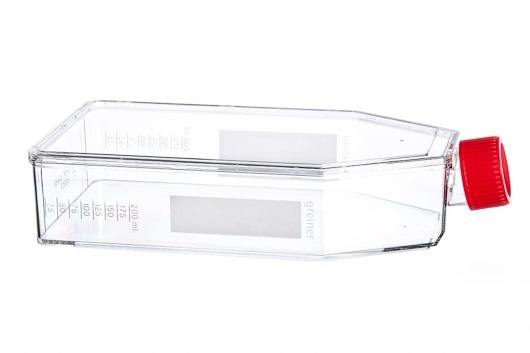 Greiner Bio-One - CELL CULTURE FLASK, 650 ML, 175 CM², PS - 661940