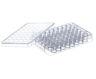 Greiner Bio-One - CELL CULTURE MULTIWELL PLATE, 48 WELL, PS - 677165