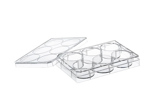Greiner Bio-One - CELL CULTURE MULTIWELL PLATE, 6 WELL, PS, CLEAR - 657940