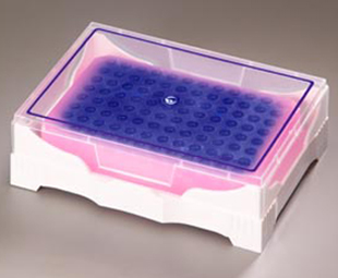 Greiner Bio-One - IsoFreeze™, rack, PCR® purple/pink, lid, 2pc - 978202