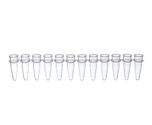 Greiner Bio-One - PCR 12 tube strips, natural - 674201