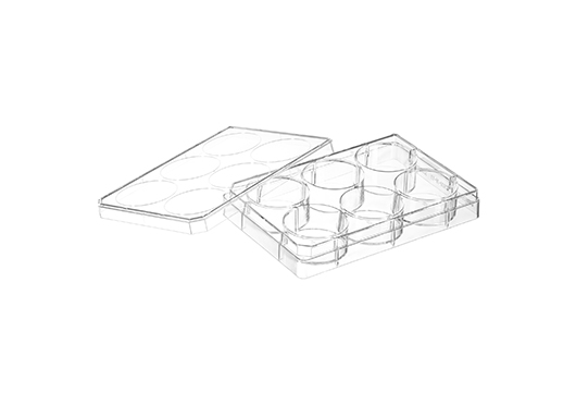 Greiner Bio-One - MULTIWELL PLATE FOR SUSPENSION CULTURE, 6 WELL - 657185