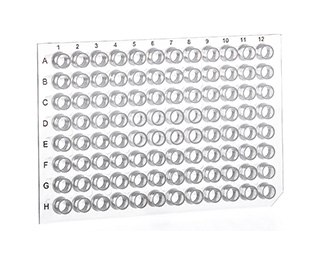 Greiner Bio-One - SAPPHIRE MICROPLATE, 96 WELL, PP, FOR PCR - 652201