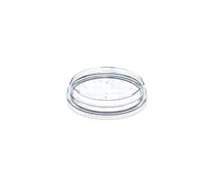 Greiner Bio-One - CONTACT DISH, PS, 65/15 MM, WITHOUT VENTS - 629161