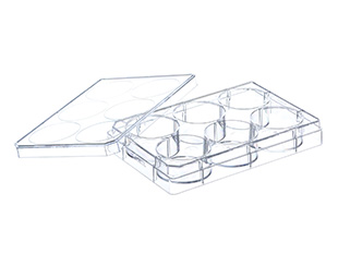 Greiner Bio-One - CELL CULTURE MULTIWELL PLATE, 6 WELL, PS, CLEAR - 657960