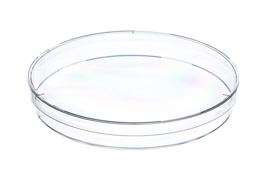 Greiner Bio-One - PETRI DISH, PS, 145/20 MM, WITH VENTS - 639102