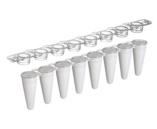 Greiner Bio-One - SAPPHIRE PCR 8-TUBE STRIPS FOR QPCR - 673282