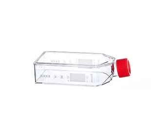 Greiner Bio-One - CELLCOAT TC-FLASK, 250 ML, 75 CM, COL I, 5/PACK - 658950-005