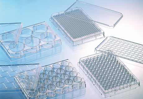 Productos para cultivo celular CELLCOAT® con revestimiento proteico - Greiner Bio-One