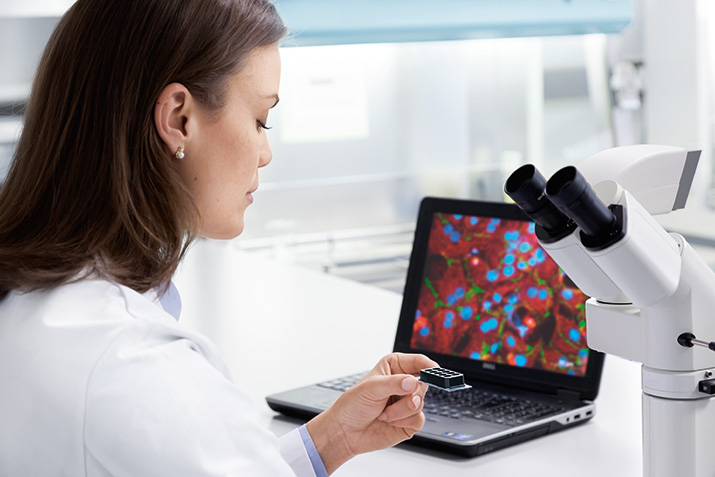 Productos para cultivo celular para microscopia avanzada - Greiner Bio-One