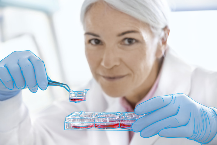 Insertos ThinCert® para cultivo celular - Greiner Bio-One