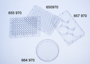 Greiner Bio-One - Placa cultivo celular, 6 pocillos, PS, transparente - 657970