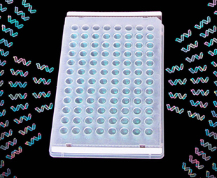 Greiner Bio-One - ThermalSeal™, film couvrant, 50 µm, pour PCR / - 676045