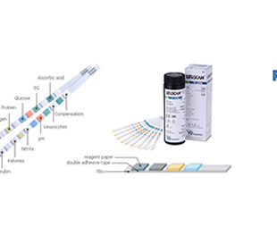 Greiner Bio-One - Bandelette urinaire URISCAN: protéine/glucose/ - GPH4