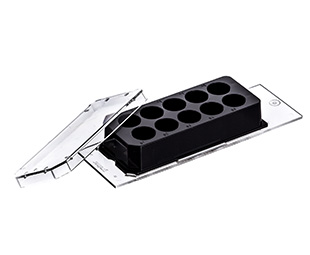 Greiner Bio-One - CELLVIEW CELL CULTURE SLIDE, PS, 75/25 MM - 543079