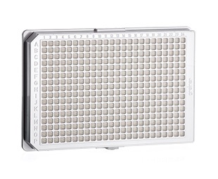 Greiner Bio-One - MICROPLATE PER COLTURA CELLULARE, 384 POZZETTI, PS, F-FONDO, µCLEAR® - 781974