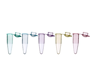 Greiner Bio-One - SAPPHIRE PCR TUBE, 0.2 ML, PP, ASSORTED - 671281