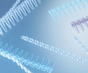 Greiner Bio-One - PCR® stoppenstrip-12, PP, violet - 374277
