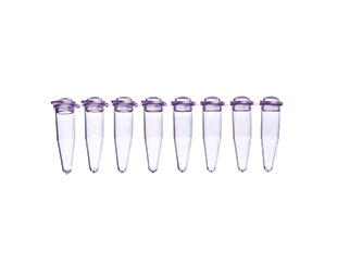 Greiner Bio-One - Buizenstrip-8 met stoppen, PCR® PP, 0,2ml, rood - 608283