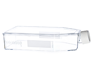 Greiner Bio-One - CELLSTAR® fles, cell-repellent, 650ml, 175cm² - 661980