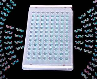 Greiner Bio-One - ThermalSeal™, afdekfolie, 50 µm, voor PCR / HTS - 676045