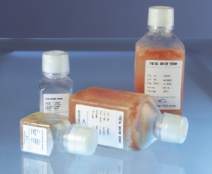 Greiner Bio-One - FBS, 500ml, oorsprong: Australië - 758085