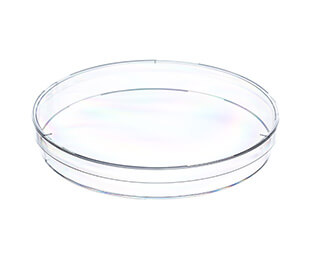 Greiner Bio-One - Petrischaal, PS, 145x20mm, nokken, 15st, steriel - 639161