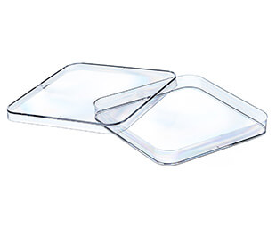 Greiner Bio-One - Petrischaal, vierkant, PS, 120x120x17mm, nokken - 688102