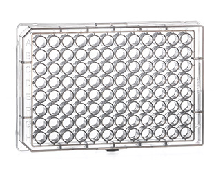 MICROPLATE, 96 WELL, PP, V-BOTTOM,CLEAR, 10 PIECES PER BAG 