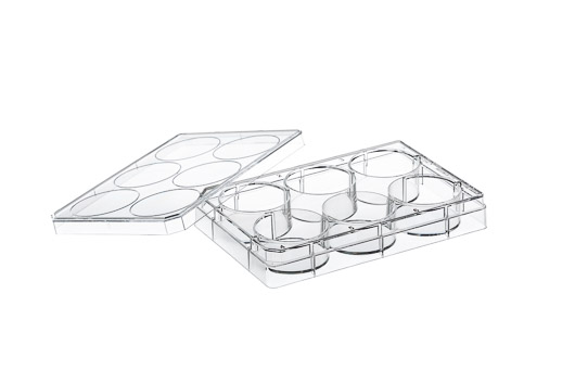  CELL CULTURE MULTIWELL PLATE, 6 WELL,PS  , CRYSTAL-CLEAR, WITH LID,  STERILE, INDIVIDUALLY PACKED