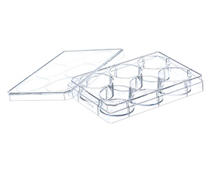 SUSPENSION-CULTURE-MULTIWELL PLATE, 6 WELL, PS, CRYSTAL-CLEAR, WITH LID, STERILE, INDIVIDUALLY PACKED