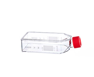 CELL CULTURE FLASK, 250 ML, 75 CM², PS, WITH RED FILTER SCREW CAP, CRYSTAL CLEAR, STERILE, 5 PIECES PER BAG