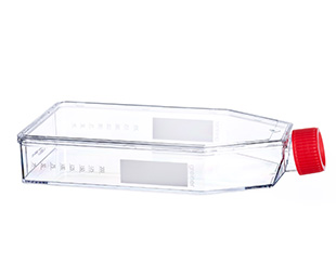 CELL CULTURE FLASK, 550 ML, 175 CM², PS, WITH RED STANDARD SCREW CAP, CRYSTAL CLEAR, STERILE, 5 PIECES PER BAG