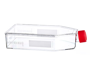 CELL CULTURE FLASK, 650 ML, 175 CM², PS, WITH RED FILTER SCREW CAP, CRYSTAL CLEAR, STERILE, 4 PIECES PER BAG,