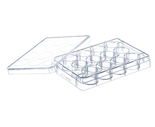 SUSPENSION-CULTURE-MULTIWELL PLATE, 12 WELL, PS, CRYSTAL-CLEAR, WITH LID, STERILE, INDIVIDUALLY PACKED